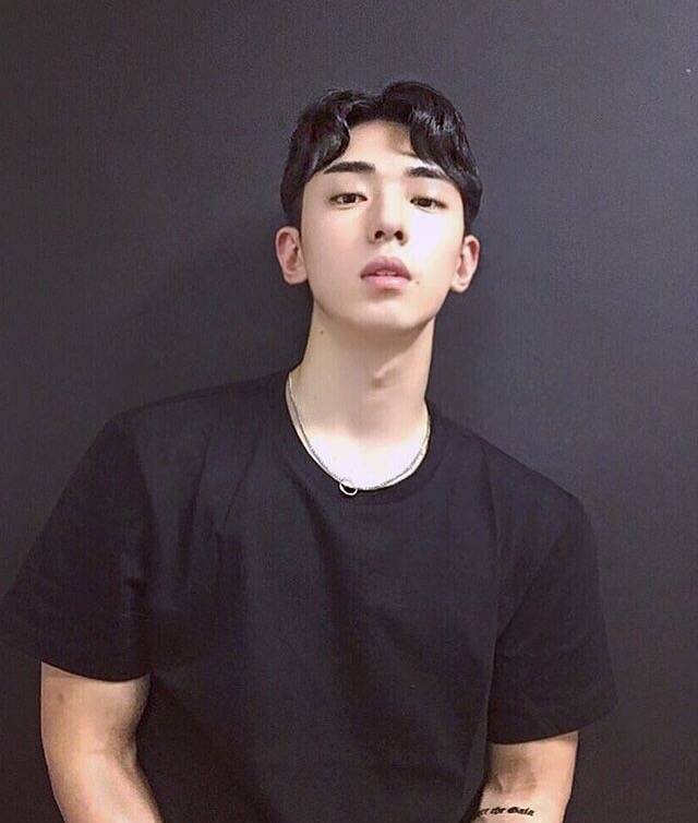 诸中勤莺