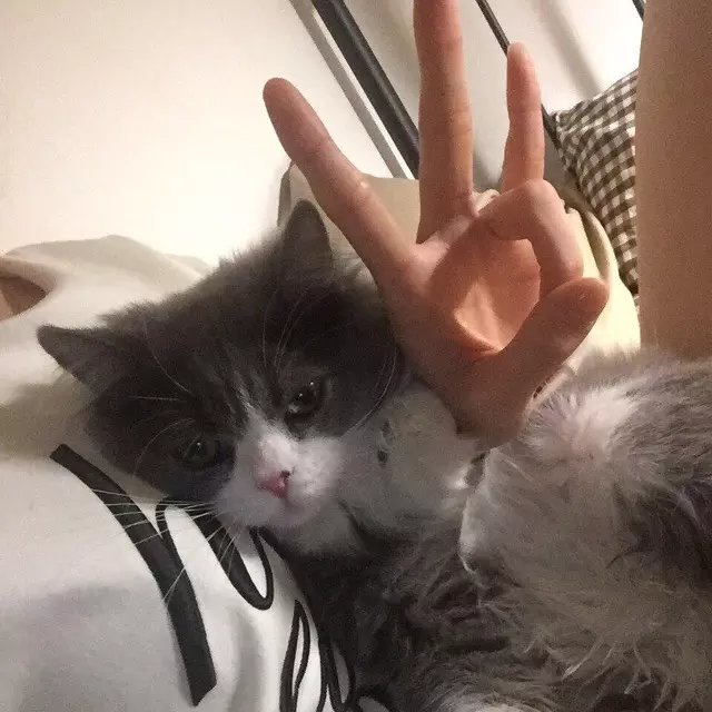 淳于梁有雨
