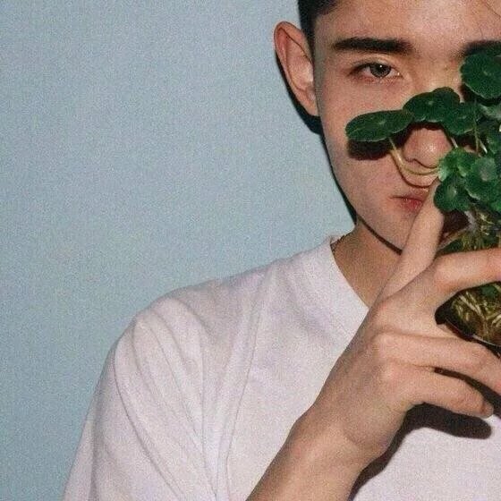 单于利时荷