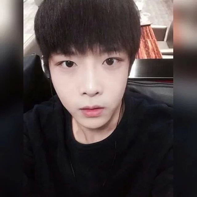 杨真燕凡